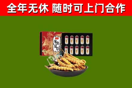 衡水市回收冬虫夏草价格